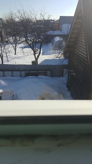 Вечерний стрим