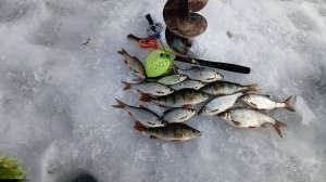 Безмотылка в затоне реки Ахтуба помогла уйти от ноля.