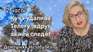 2 часть. Куча удалила Телегу ,вдруг за ней СЛЕДЯТ❓️
