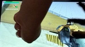 говорил пра удалёнаю посхалку