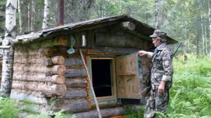 ТАЙГА.  ОДИН в тайге