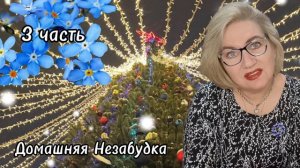 3 часть. Бесправная безработная с загранпаспором❗️