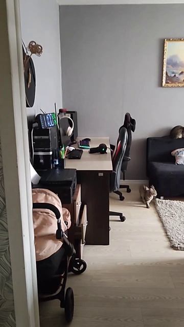 1000142985.mp4