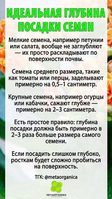 Идеальная глубина посадки семян