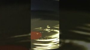 шеф на связи