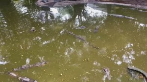 Таиланд ч.28