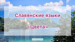«Цвета» на славянских языках