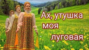 Ах, утушка, моя луговая. Народный ансамбль танца «Грация»г. Соль - Илецк.