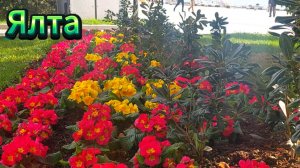 Рыбалка. Набережная 16.03.2026 Ялта