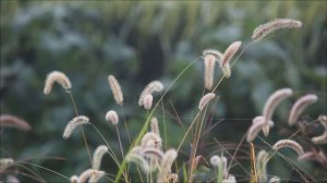 Произнесите ОДНО СЛОВО 16 марта, чтобы блокировать любой негатив.