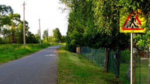 Тоска по лету