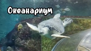 Поездка в воронежский Океанариум. Сити-парк Град