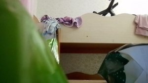 красный подарок крёстный подаро♥️🐾🥰