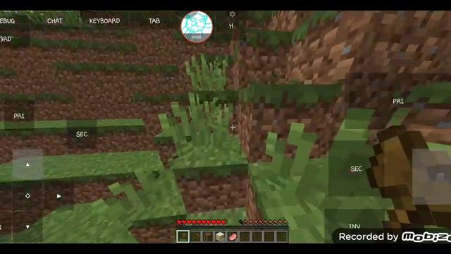 играю в майн день 1