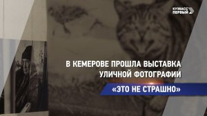 «Это не страшно»