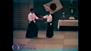 104.Aikido Gyaku Hanmi Zenpo Gedan Sankyo Nishio Sensei Uppsala 1994