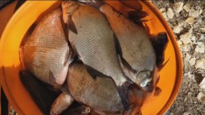 РЫБАЛКА РАССКАЗИХА Алтайский край