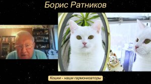 Борис Ратников - Кошки - наши гармонизаторы.