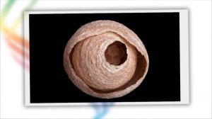 Жилища и сокровища !