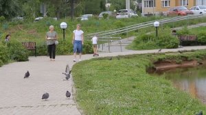 Николай Столяров. Пĕр-пĕрне юратсан