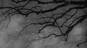 Мини иллюзия цветного коридора (впервые это делаю) (Если это не иллюзия по правте плс)