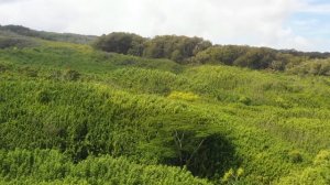 Успокаивающий релакс-фильм с приятной музыкой 🌺🏝️Мачу-Пикчу в 4K