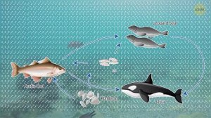 Учёные обнаружили древний мир подо льдами Антарктиды