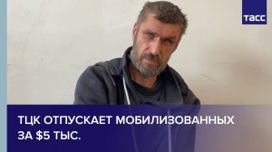 Пленный из ВСУ: ТЦК отпускает мобилизованных за $5 тыс.