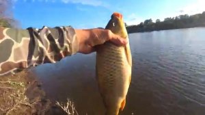 ДЕДОВСКАЯ СНАСТЬ НА ПАЛКЕ! СОМ И САЗАН НА ДОНКИ С БЕРЕГА! Рыбалка в Астрахани 20