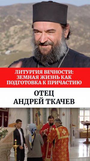 Литургия вечности: земная жизнь как подготовка к Причастию. Отец Андрей Ткачев