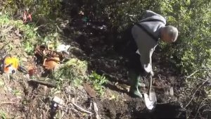 НАШЛИ ЗА ГАРАЖОМ ЧЕТЫРЕ МЕШКА РОЛИКОВЫХ КОНЬКОВ!