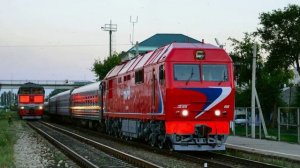 Тополиный  город - Михайловка Волгоградская  область