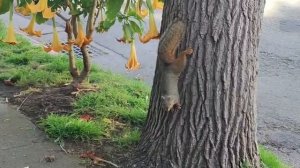 Berkeley California Беркли Калифорния Америка 2026 март