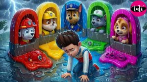 Щенячий патруль и Маршалл. Залипательное видео. Мультфильм для детей и малышей. Анимация 382