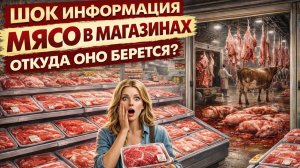 ШОК ИНФОРМАЦИЯ — МЯСО В МАГАЗИНАХ.🥩 ОТКУДА ОНО БЕРЁТСЯ