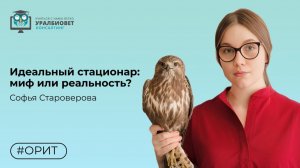 Идеальный стационар: миф или реальность? Лектор Софья Староверова