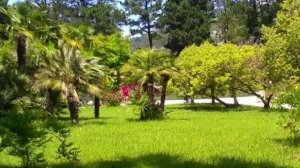 🌴🏞 Сочи зелёный: Дендрарий и река Мзымта