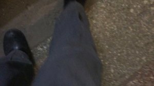 Теорема ЖКХ_Подъезд_2026.03.17_14-10_