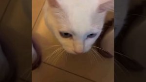 Ну ты француз