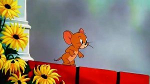 🎬Том м Джерри