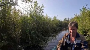 Я с сыном на рыбалке. Полушкино