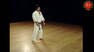 21 - Ката Нидзюшихо (Nijushiho) Шотокан Каратэ