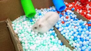 Оливер и Друзья без телефона 📵 ｜ Весёлые челленджи и п