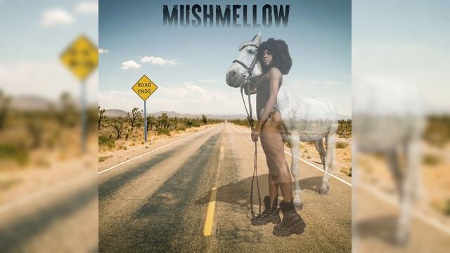 Mushmellow - Lifetime Road