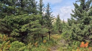 Дальний Таганай 2025, путь от метеостанции до скальников