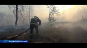 В Воронежской области вступил в действие Сводный план тушения лесных пожаров