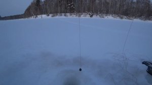 Рыбалка на реке Лозьва 2026г. (Ликино - Новый Вагиль).