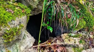 Водопад "Пасть Дракона" и природная газировка