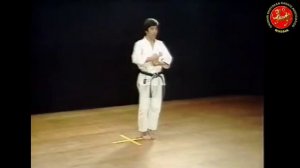 19 - Ката Чинтэ (Chinte) Шотокан Каратэ