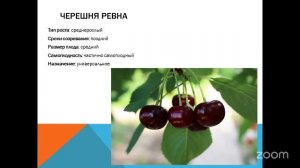 Уход за садом с Анастасией Борункова 17.3 14:00